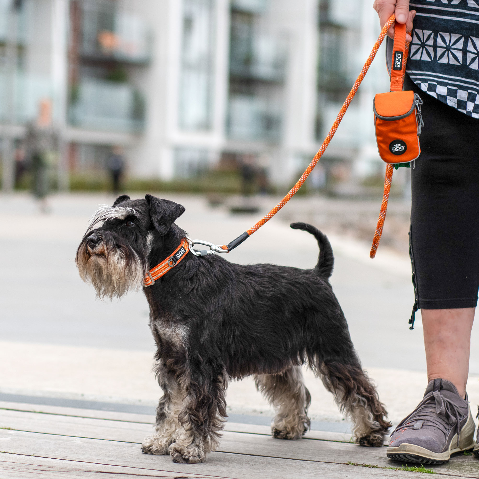 DOG Copenhagen Urban Style Collar